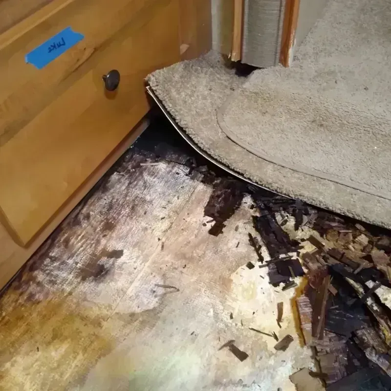 Best Wood Floor Water Damage Service in Pecatonica, IL